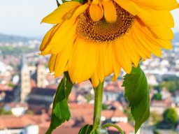 20111003_Esslingen_0322