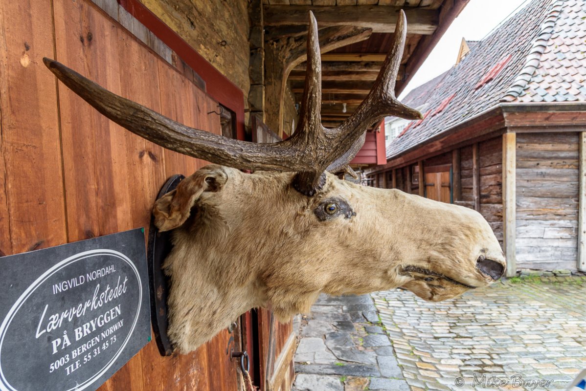 Bergen - Bryggen