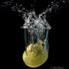 Splash lemon 3