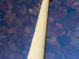 Städte &raquo; Stuttgart &raquo; Fernsehturm