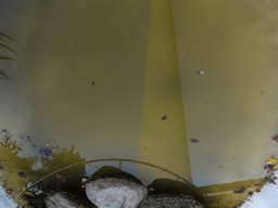 Städte &raquo; Stuttgart &raquo; Fernsehturm