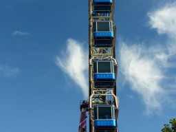 Städte &raquo; Stuttgart &raquo; Wasen