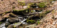 Holzbrücke am heslacher Wasserfall