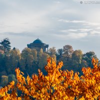Herbstlaub unterm Rotenberg