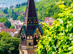 obere Neckarvororte &raquo; Weinbau